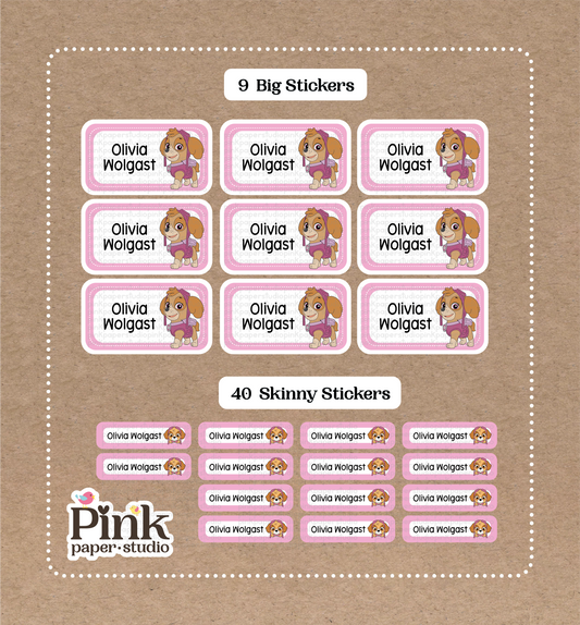 Set de La Patrulla Canina • 9 pegatinas grandes para el nombre de la escuela • 40 pegatinas delgadas