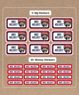 Set de Stickers de Florida Panthers