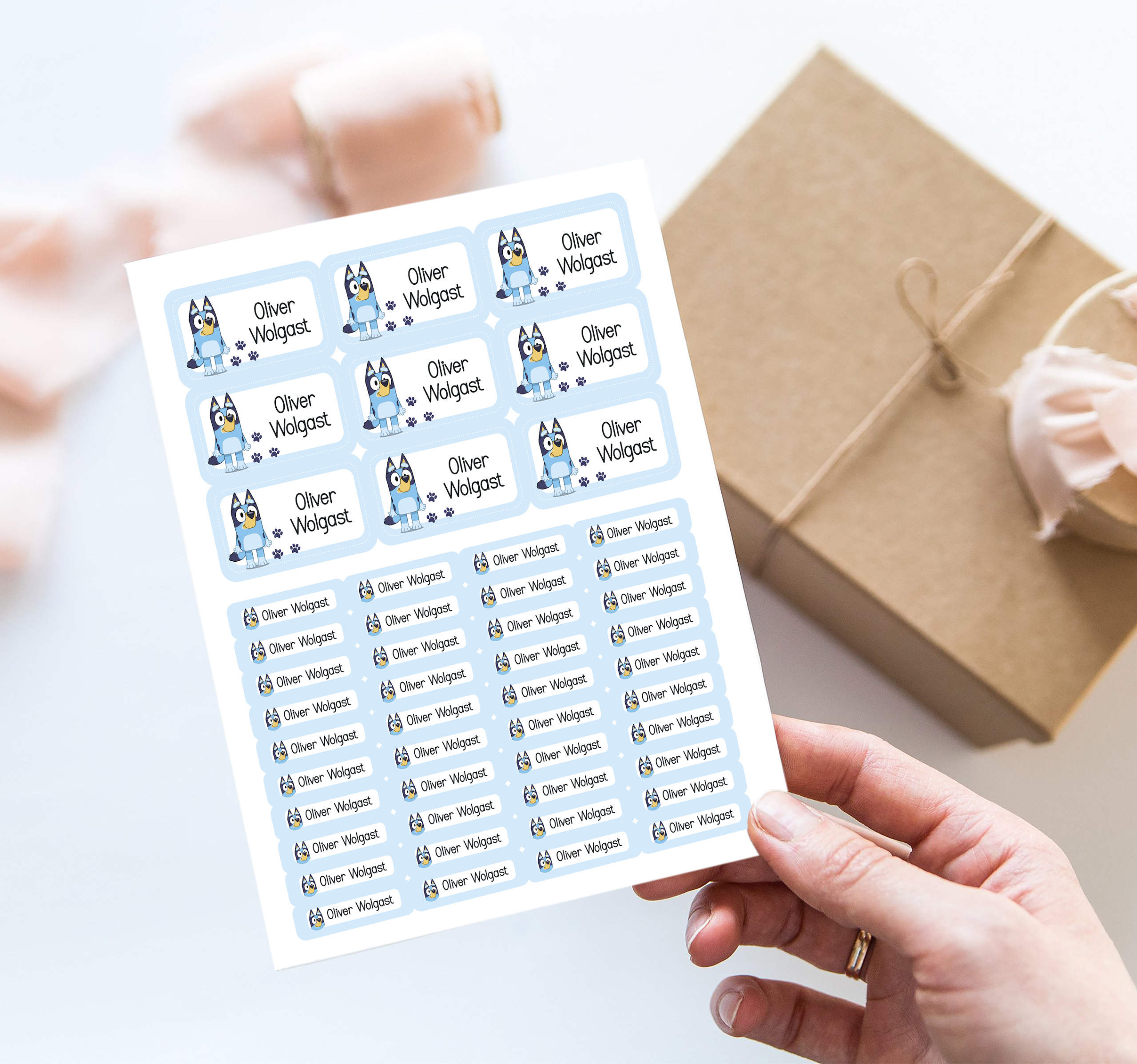 Set de Stickers Bluey